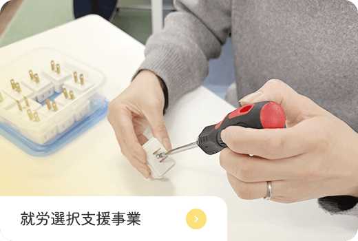 就労選択支援事業