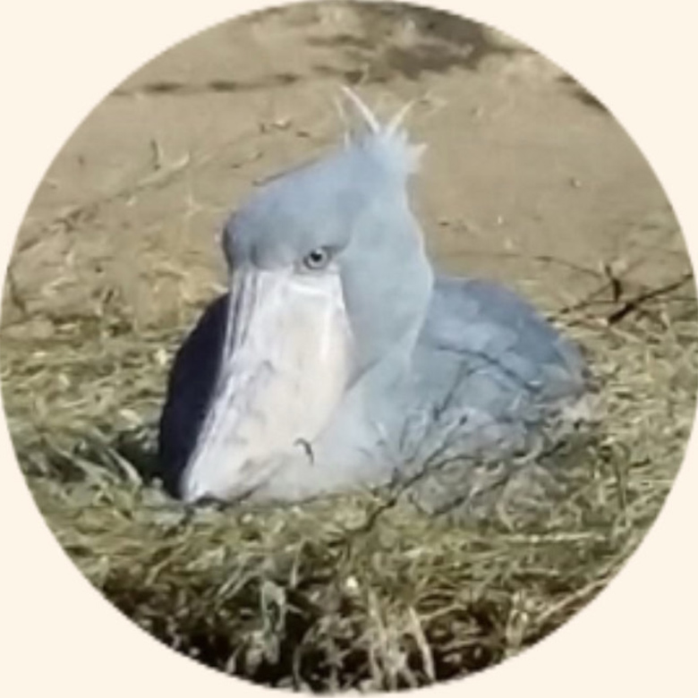 ぴろこ